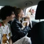 French Bulldogs For Sale